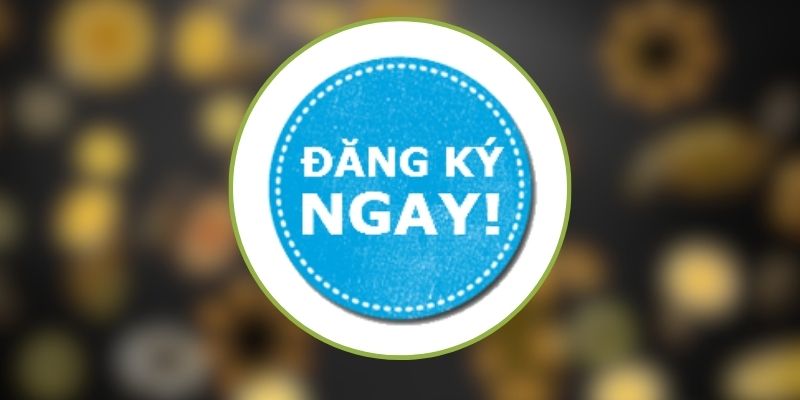 Đăng Ký - Hướng Dẫn Lỗi Thường Gặp Xác Minh Danh Tính 1 Dang ky 2